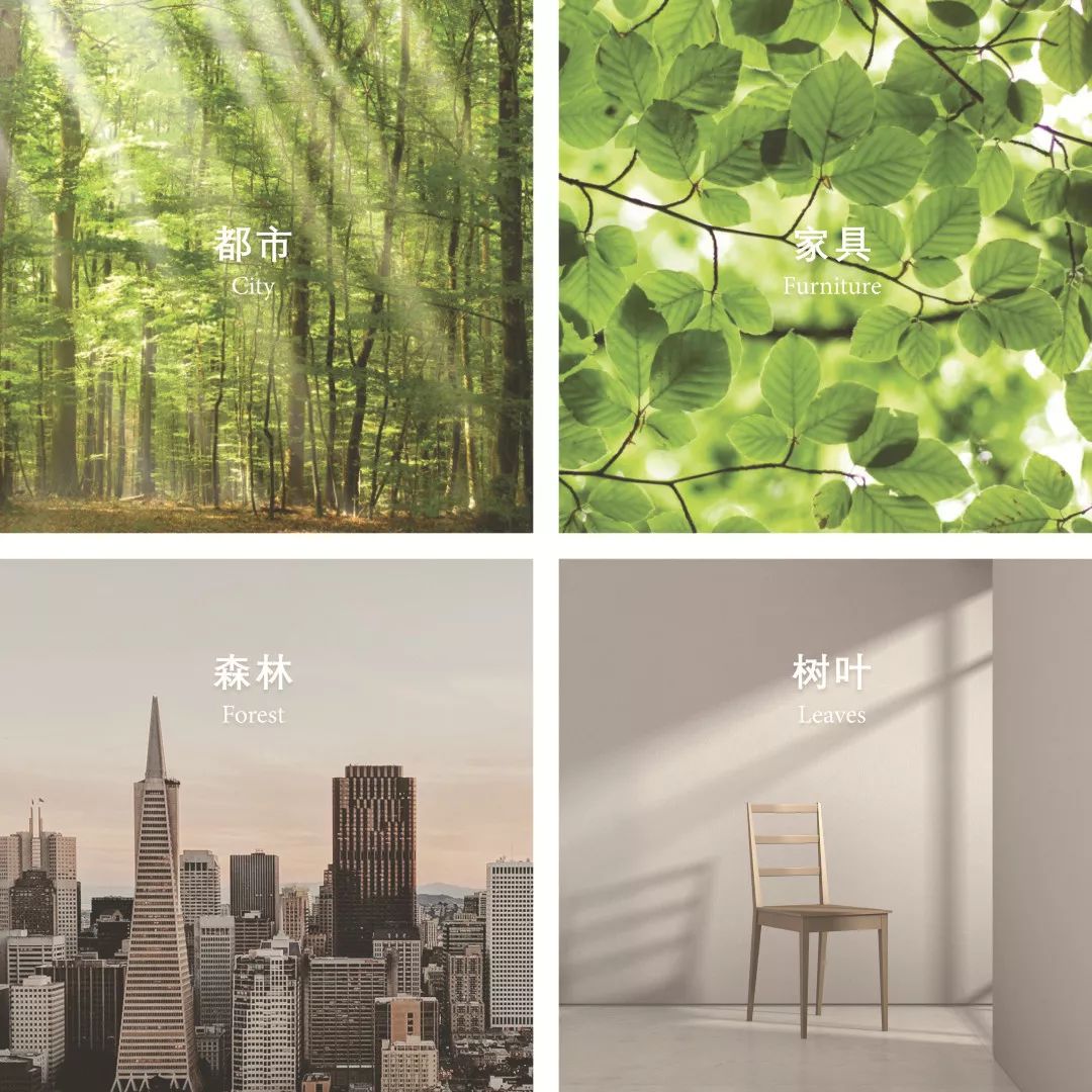 2019UABB深港城市\建筑双城双年展正式开幕