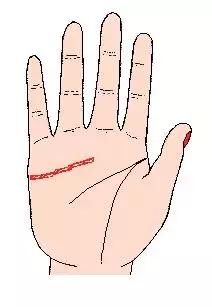 手相解密,手相掌纹分析学