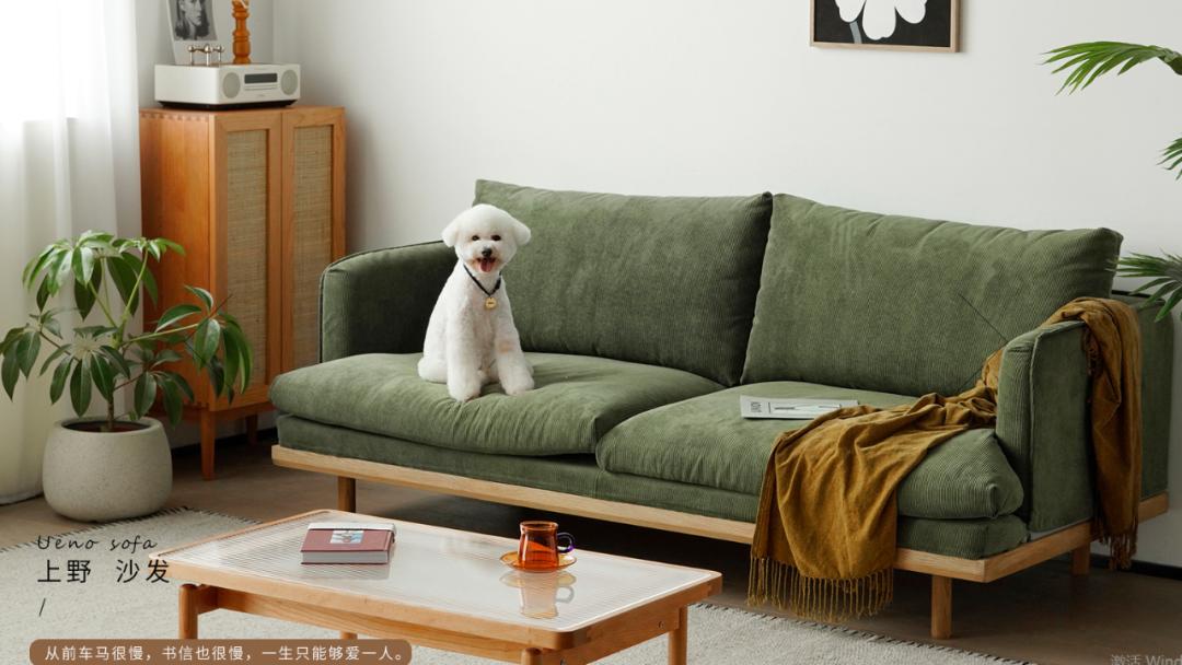 还在买东西的时候交哪些智商税,还在傻乎乎的买东西