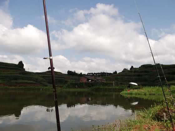 最好的钓黑鱼的方法,钓黑鱼的方法时间与技巧