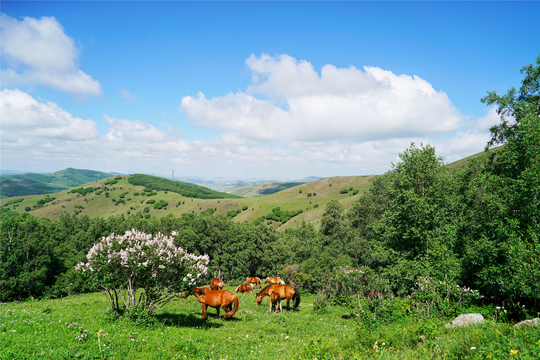 北京自驾避暑旅游攻略,2天一夜避暑胜地自驾游大盘点
