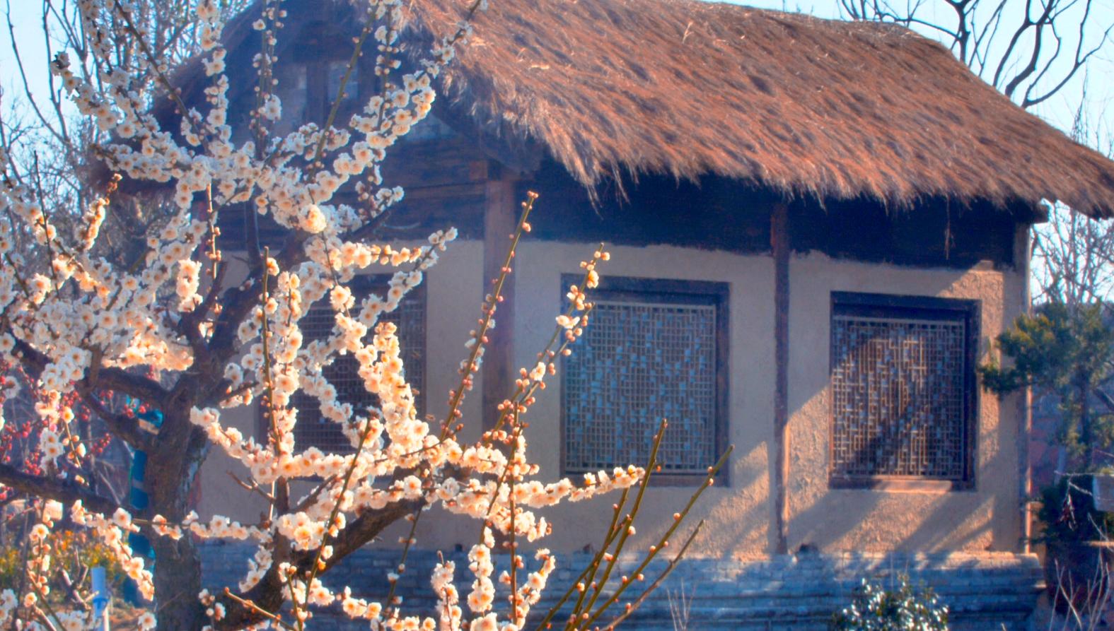 安心居家欣赏美景,郑州二七区樱桃沟管委会美丽乡村