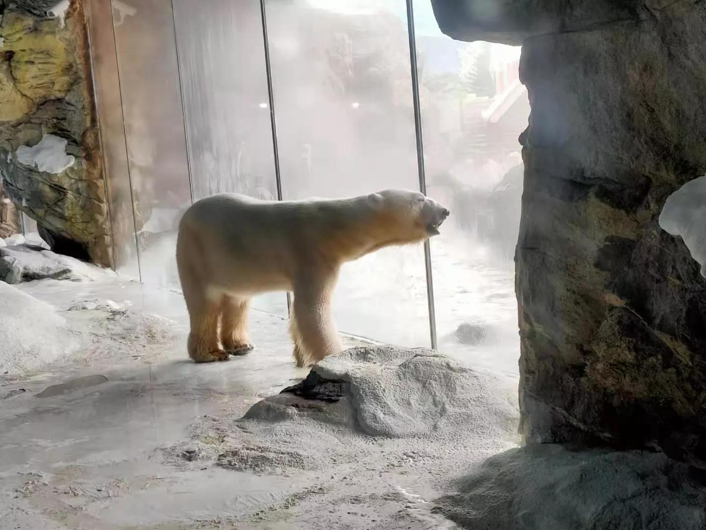 珠海长隆海洋王国二日游攻略,珠海长隆海洋王国一日游详细攻略