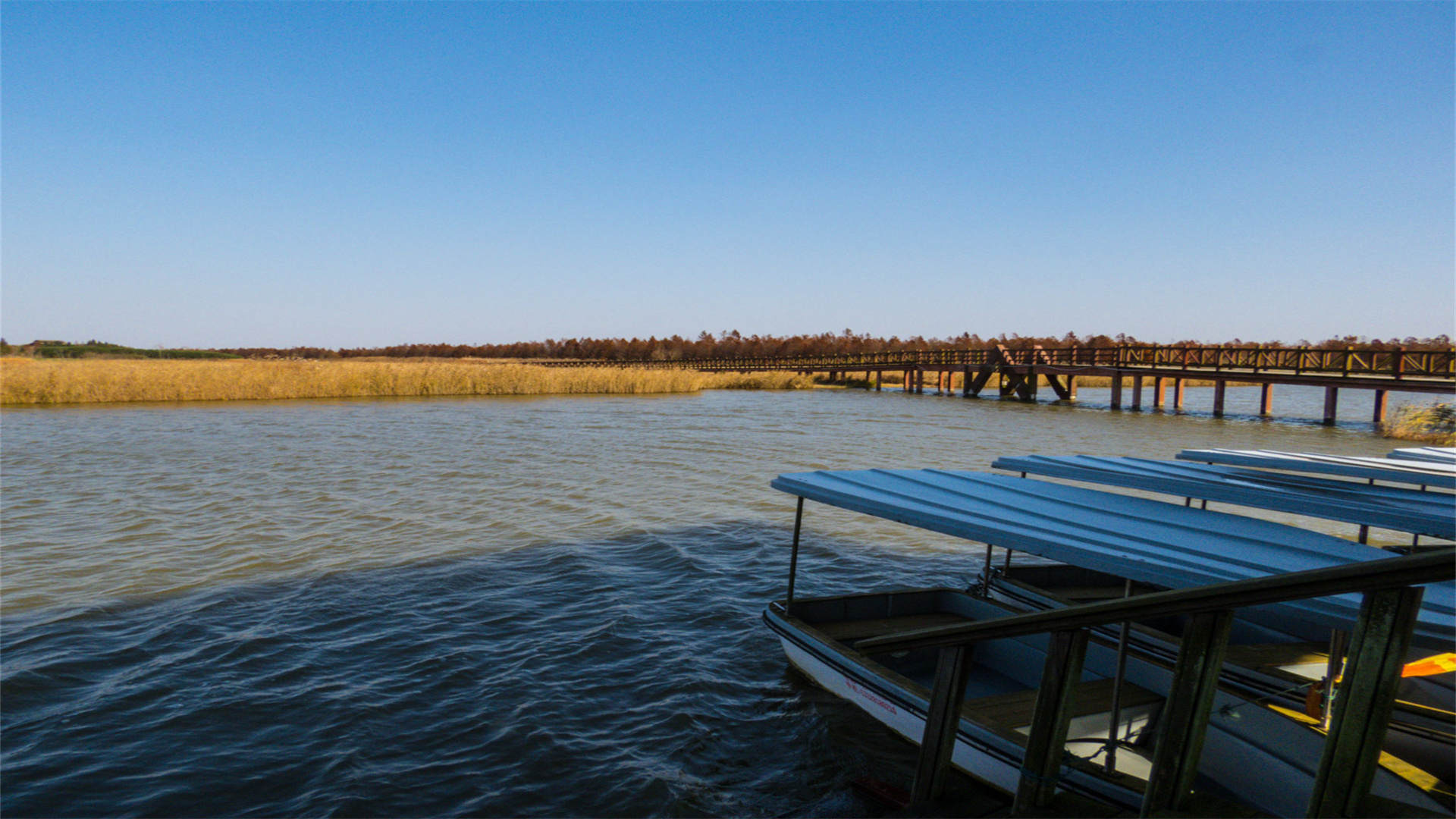 上海崇明岛有哪些旅游景点值得玩,上海崇明岛值不值得去玩