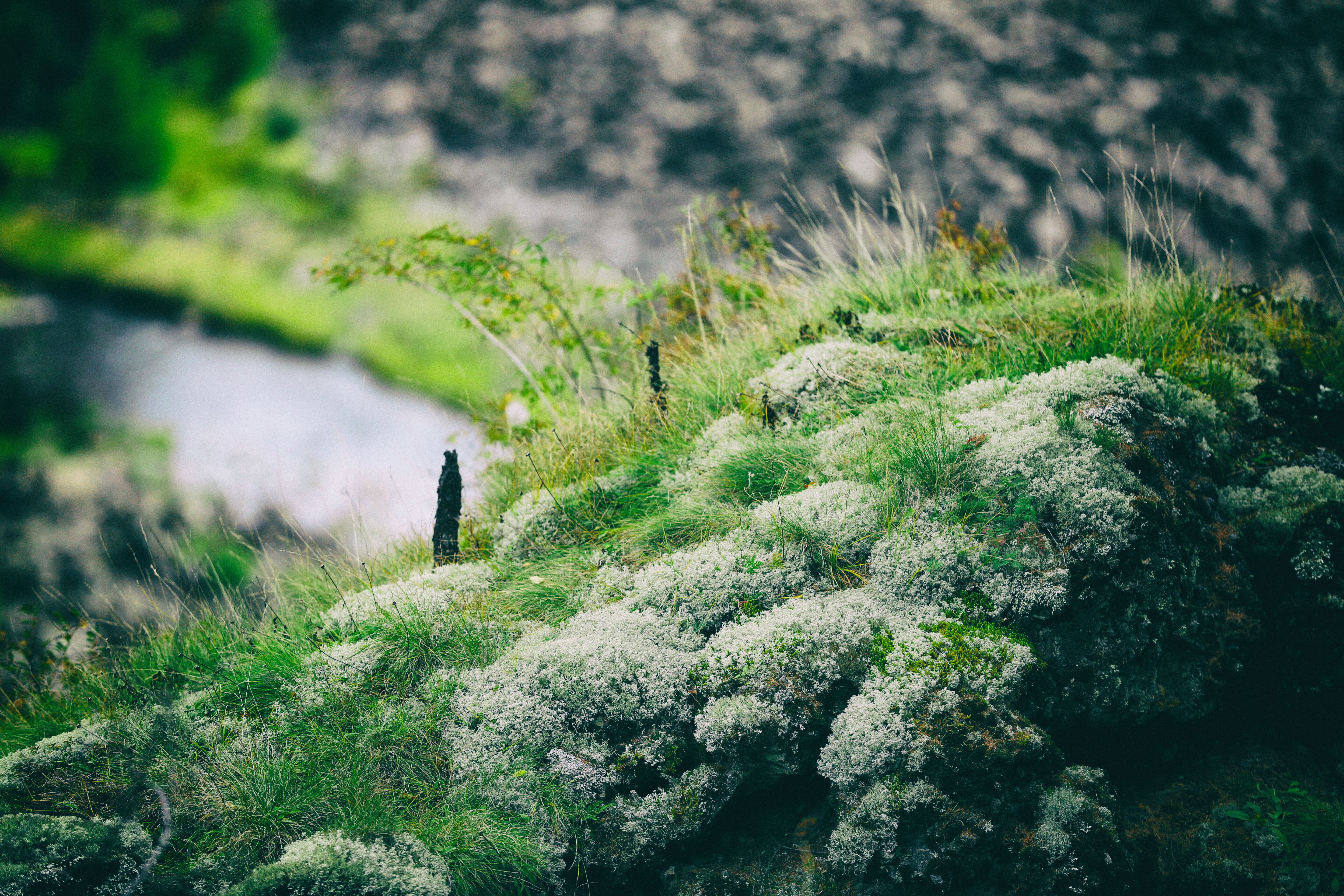 东北边疆,东北行游记2019