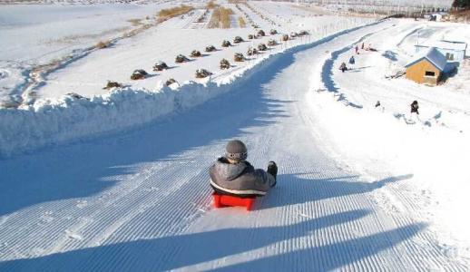 沈阳必去的三大景点沈阳森林公园,沈阳有哪些好玩的旅游景点
