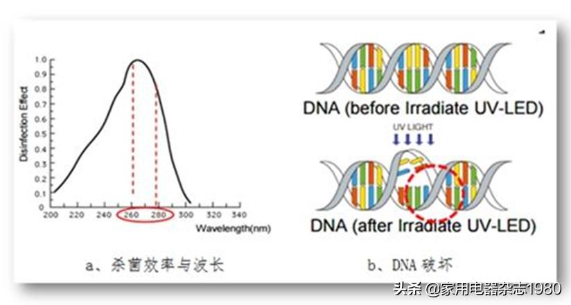紫外线灯0.3秒能消灭新冠吗,新冠用紫外线灯有用吗
