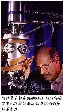 实验室培育人工大脑,实验室培育出异形