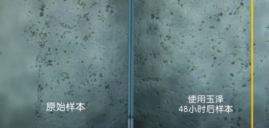 李佳琦没骗人!“国货之光”拯救烂脸,销量21万!乔欣也打call?