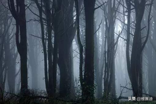 120万成本,全球收割1.03亿票房,《电锯惊魂》为何如此经典?