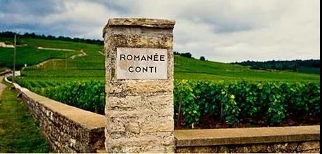 朱卫东：法国葡萄酒AOC等级内涵详解