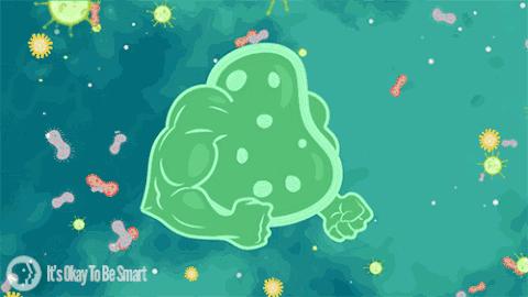 宫廷风四件套床品,床品四件套ins风裸睡