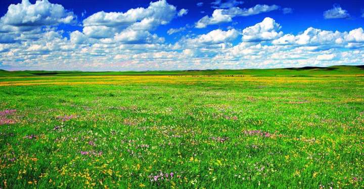 中国最美的八大草原,夏天旅游,与草原最配哦