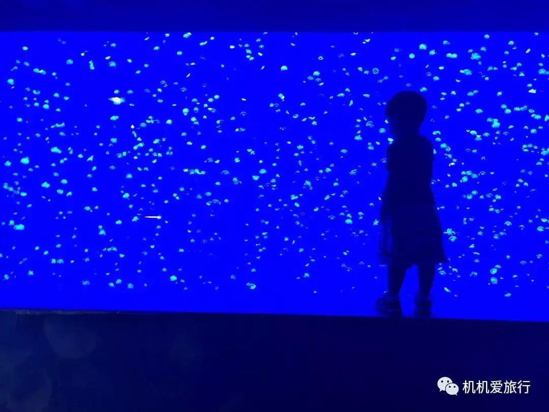 珠海和广州长隆旅游攻略,珠海长隆乐园游玩攻略