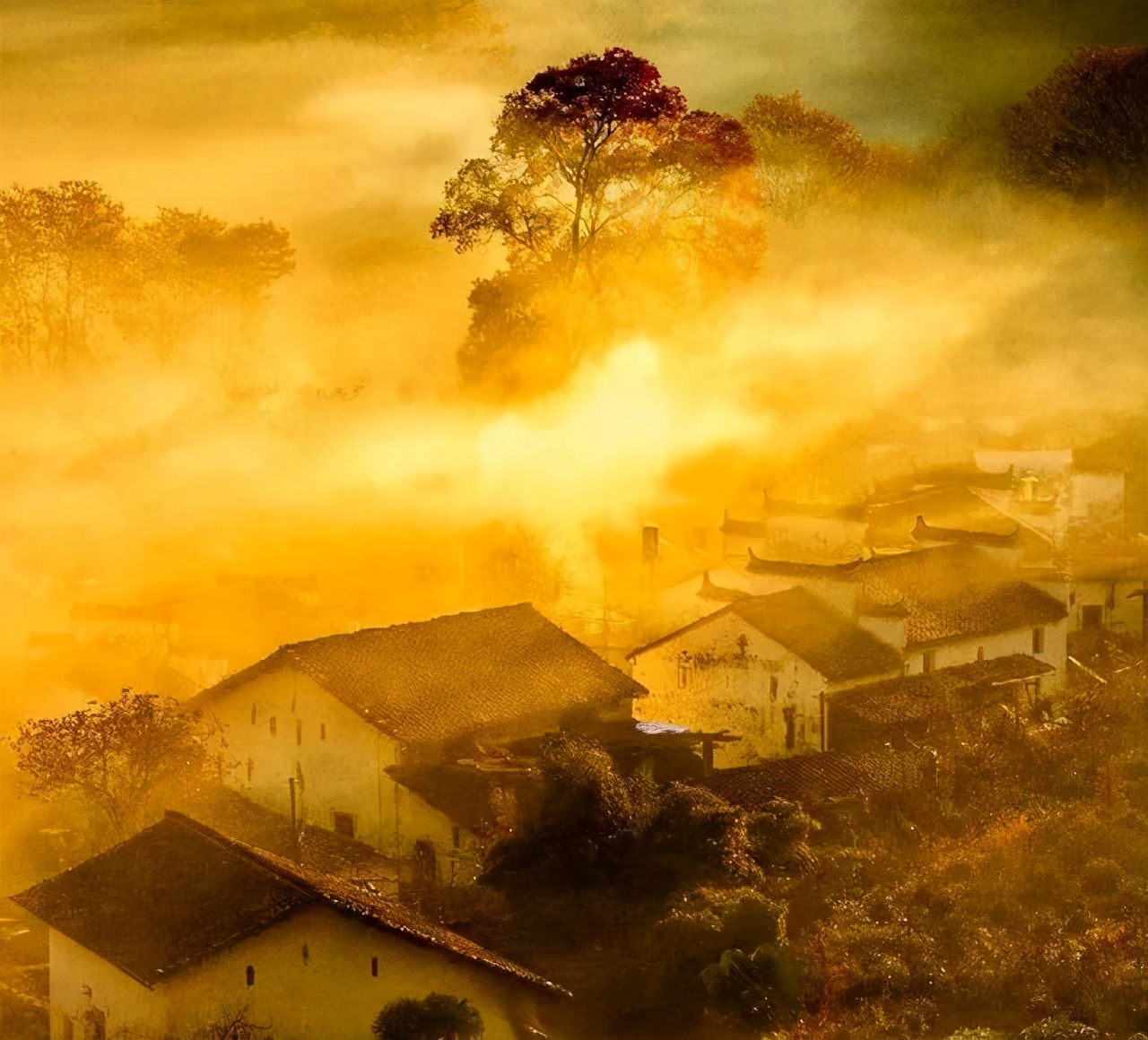 75岁晚年最怕什么,18岁焦虑害怕死亡怎么办