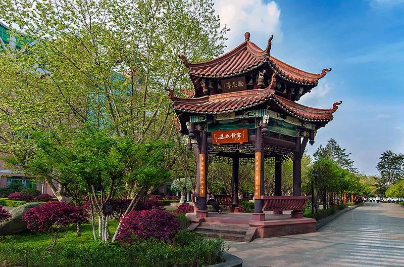 成都479高中有哪些学校,成都479有高中有初中吗