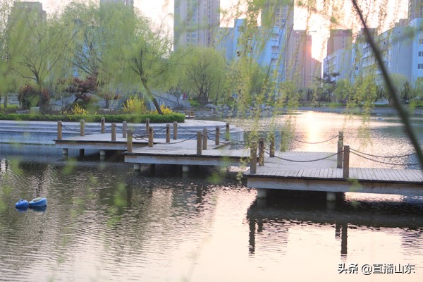 枣庄科技职业学院好考吗,枣庄科技职业学院2019级单招生