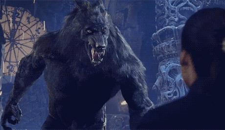 原来狼人可没有你想的那么浪漫，坏事做多了才会变成“狼人”！