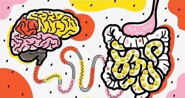 微生物脑肠轴介绍,微生物肠脑轴关系图