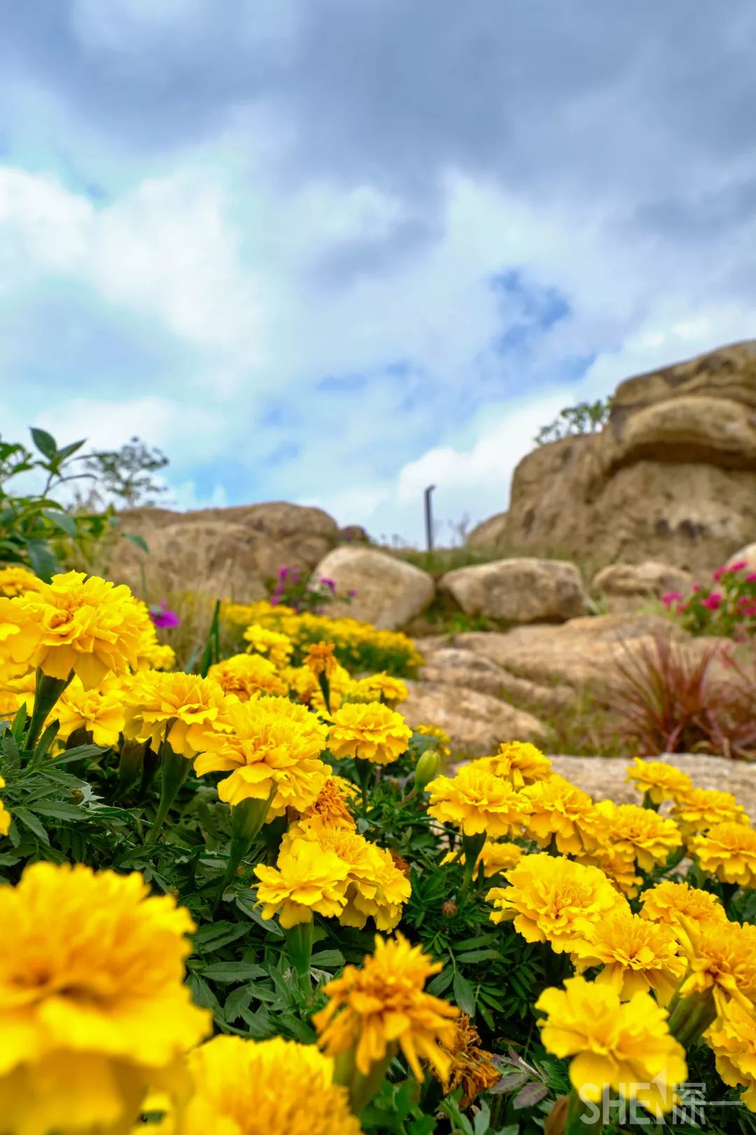 深圳龙华公园对外开放了吗,深圳市龙华新开的公园