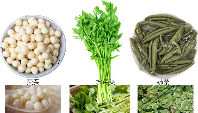 探索荸荠︱以及西关“泮塘五秀”是什么、何为江南“水八仙”?