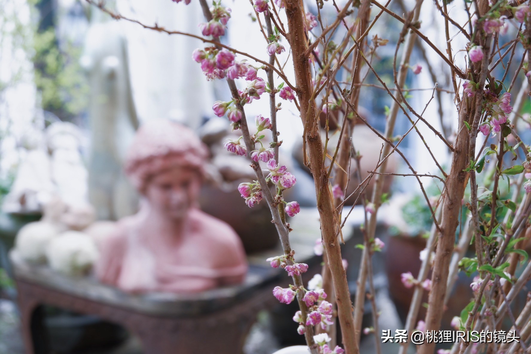 杭州小济州岛春游野营度假,良渚小奈良一日游