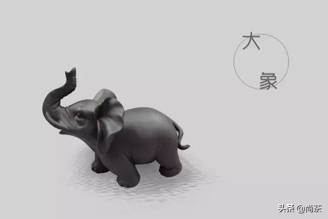 茶宠直播福袋,最好的10种茶宠