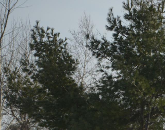 从适马105mmF1.4，来看中长焦人像大光圈镜头的设计挑战