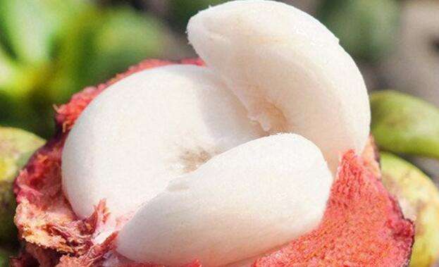 山竹水果皇后作用,水果山竹的功效与禁忌