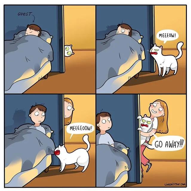 沙雕猫片，笑到床塌！自从做了卑微的铲屎官，比一个人时刺激多了