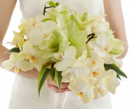 花语大全：各种鲜花的花语，不同颜色寓意也不一样啊