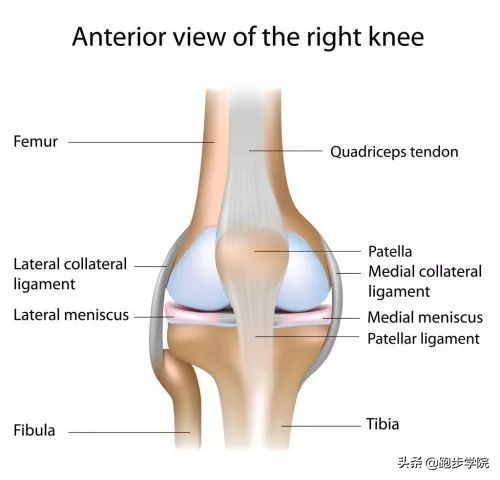 如何拯救腿毛,如何拯救跑步以后的粗腿