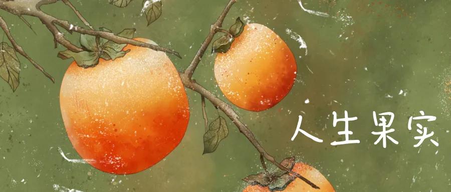 借山而居的内容,借山而居过一生