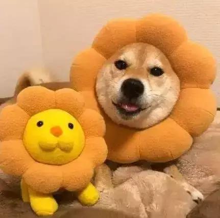 男朋友想看你的手机怎么处理,男朋友想看自己的照片怎么办