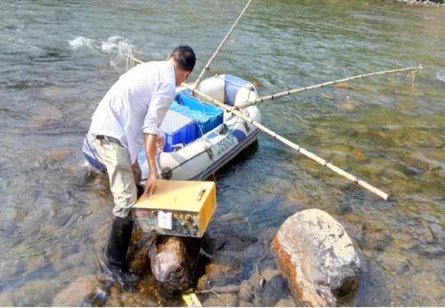 三男子非法电鱼南京,3名男子非法捕鱼600余斤