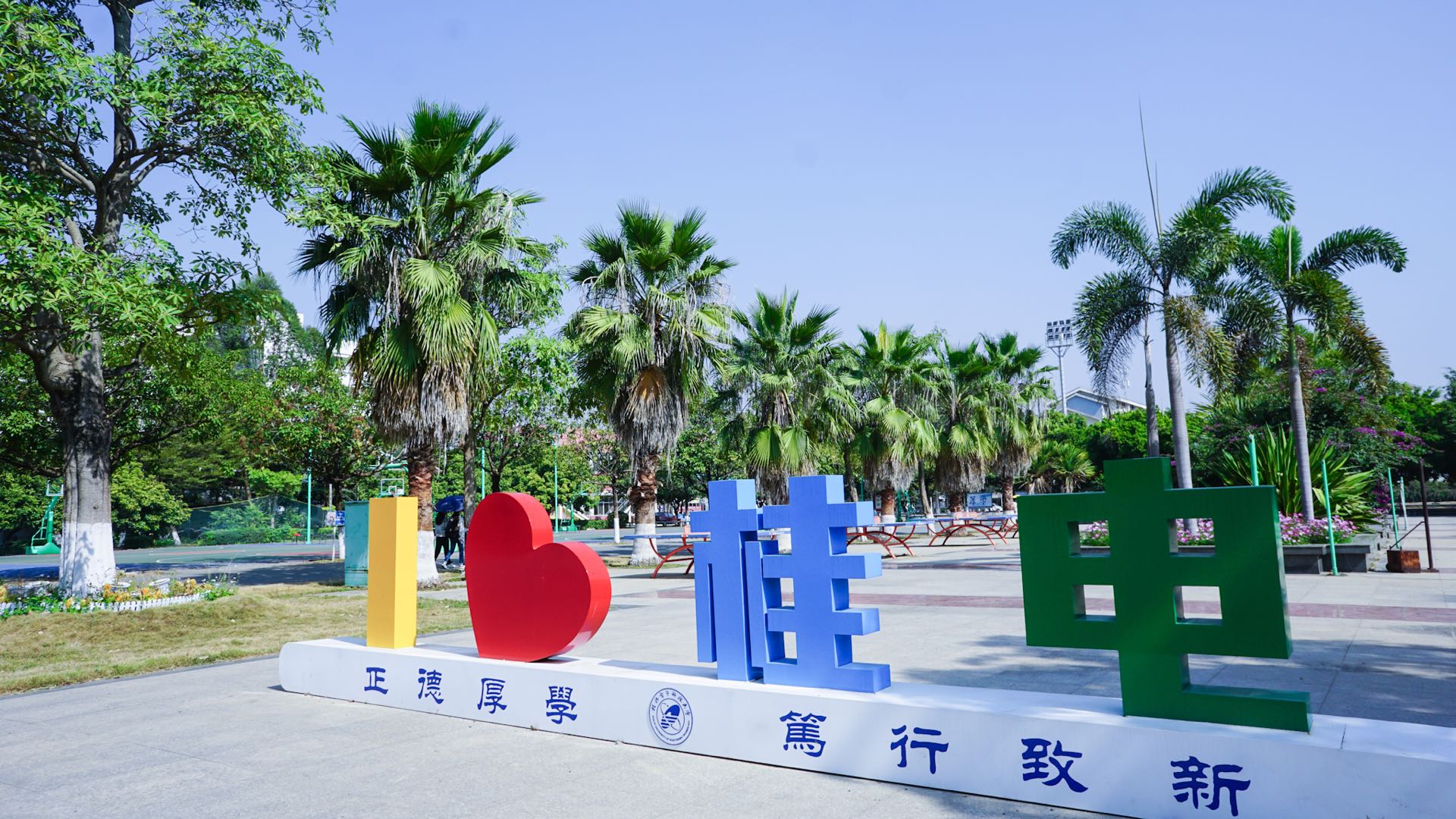 北海开车去越南,从北海一路开车到越南都遇到什么