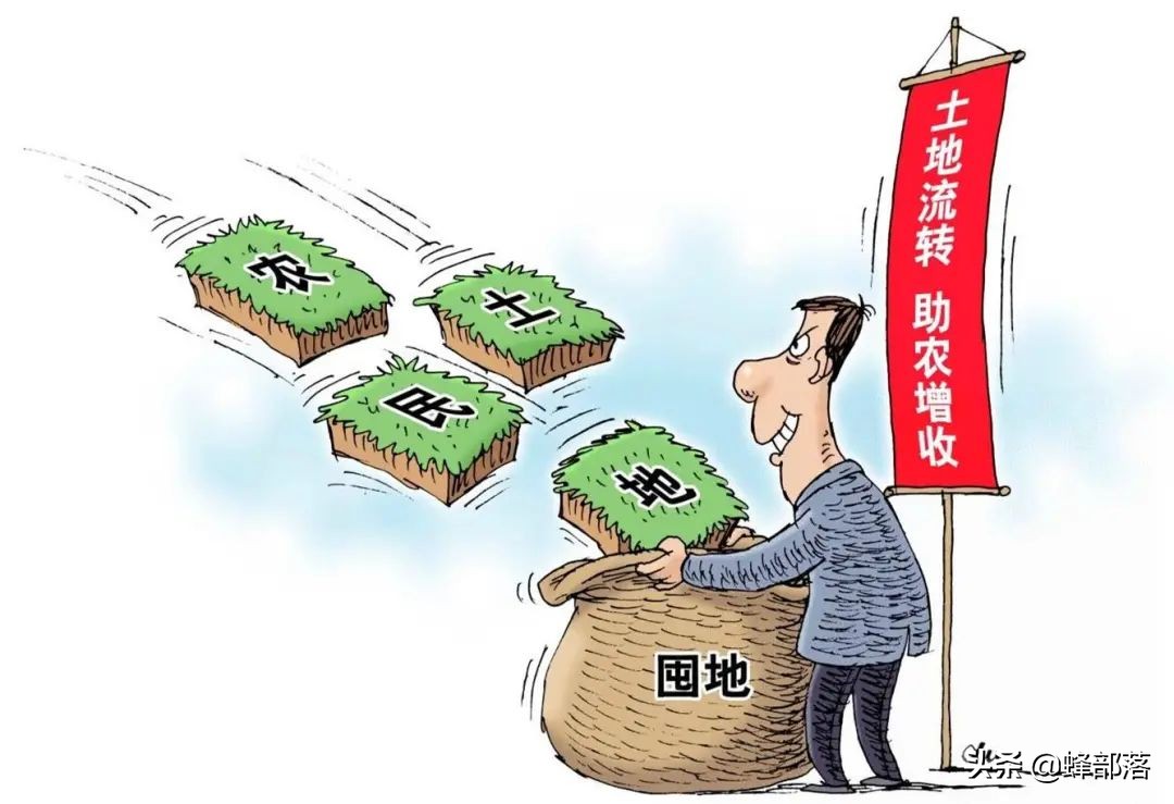 农村土地确权没有宅基地怎么办,土地确权没有确权到的怎么办