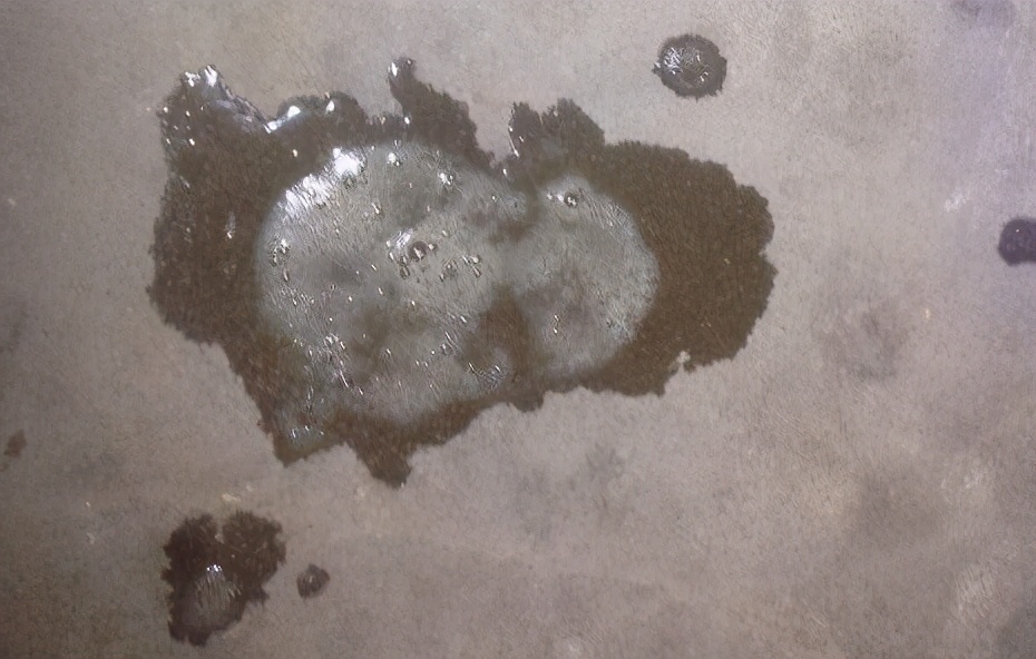 狗狗呕吐白色的泡沫粘液吃什么药,狗狗咳嗽呕吐白色粘液是什么原因