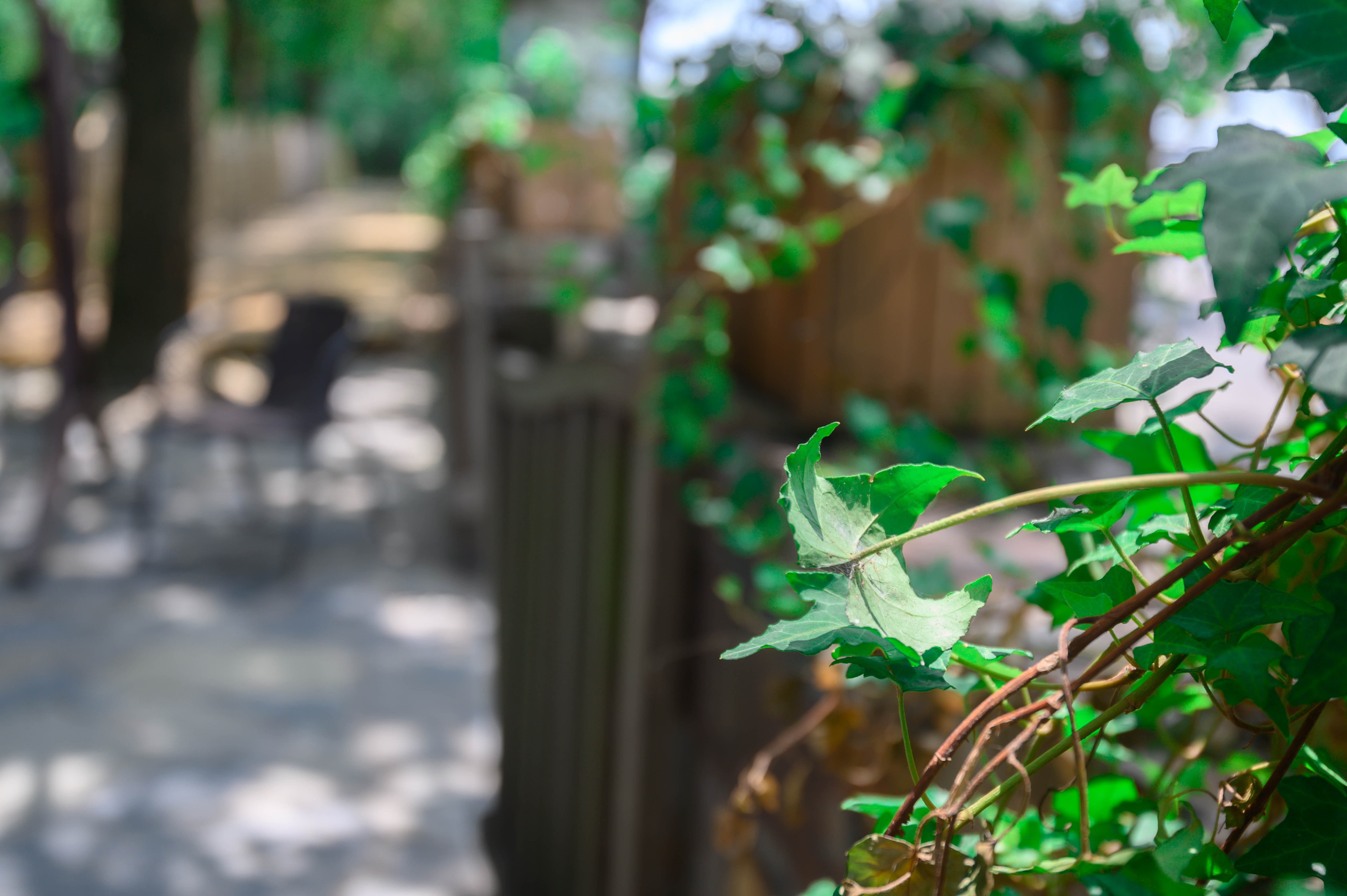 鑻忓窞瑗垮北鏈夊摢浜涘彜鏉戣惤,鑻忓窞瑗垮北鐨勫彜鏉戣惤