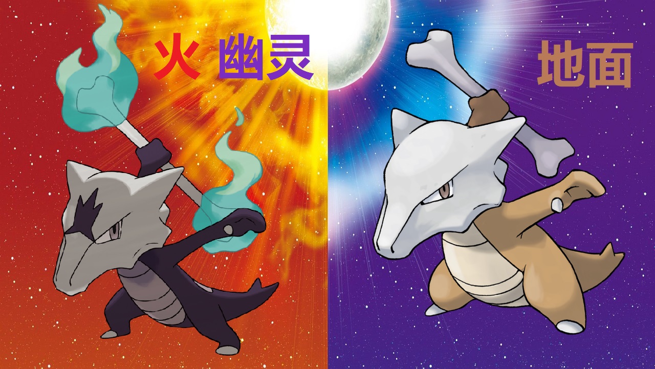 10只火属性宝可梦合体进化,宝可梦大探险进化后属性表