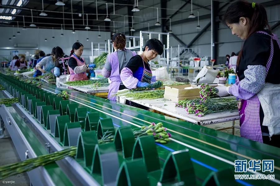 云南嵩明县未来发展规划,昆明滇中新区嵩明县发展新信息