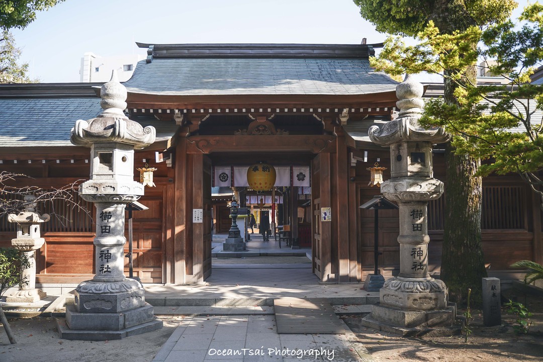 日本游轮游避坑,日本邮轮八天七夜具体行程