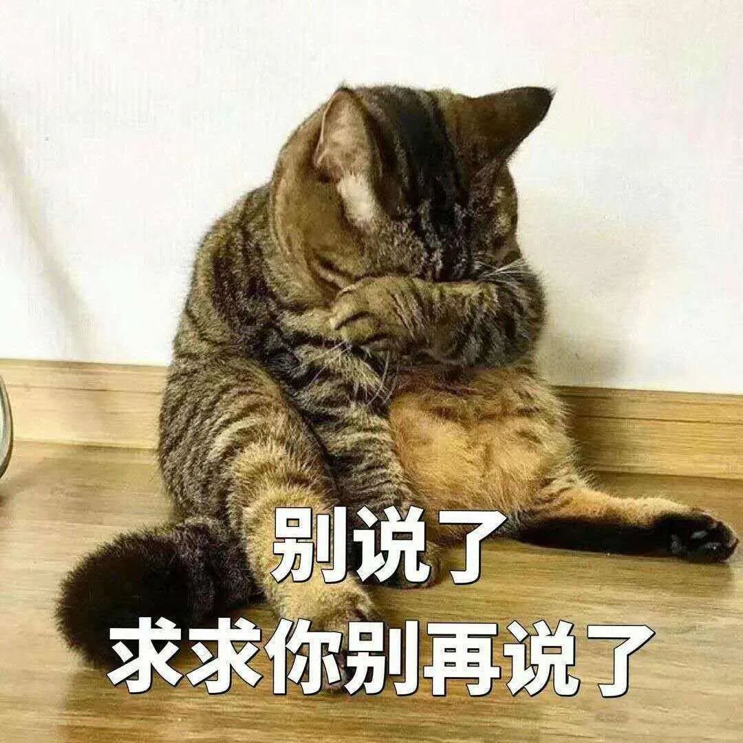 猫丢了三天回来变乖了吗,猫被丢弃后回来就乖了的故事