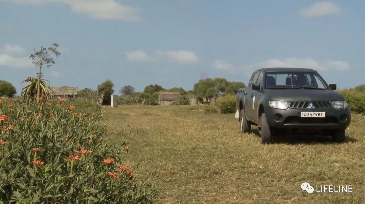 龟中“考拉”，请别让我们的孩子在博物馆见到它们...