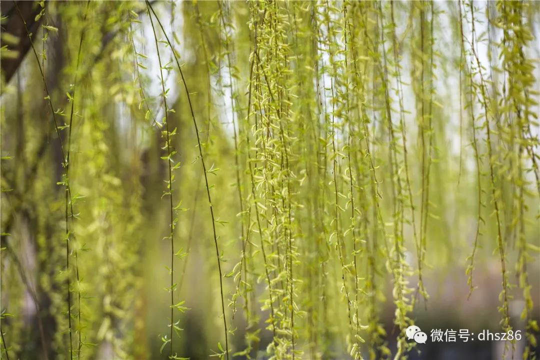 敦煌山庄游玩攻略,敦煌山庄旅游攻略