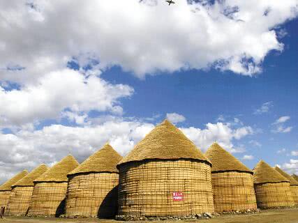 美国十大富豪榜洛克菲勒家族1996,美国嘉吉集团总资产