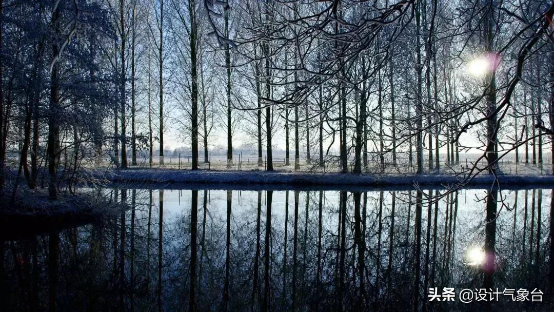 4000美金图片,五万美元效果图