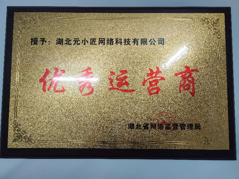 湖北元小匠网络科技电竞陪玩加盟，玩游戏就能实现财务自由