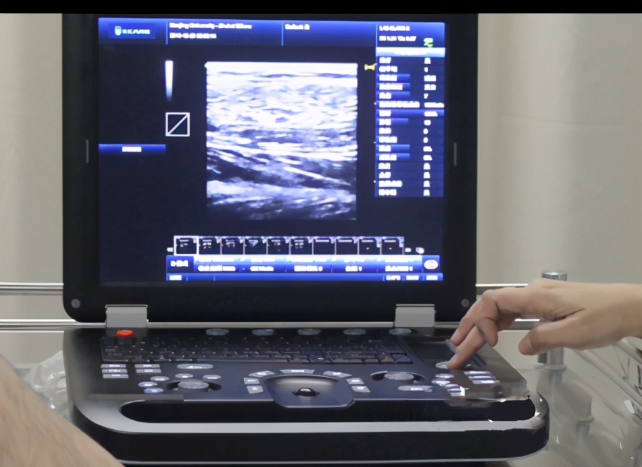 鍗椾含澶у鏈夊鍘夊,浜崡澶у鍒板簳鏈夊鍘夊