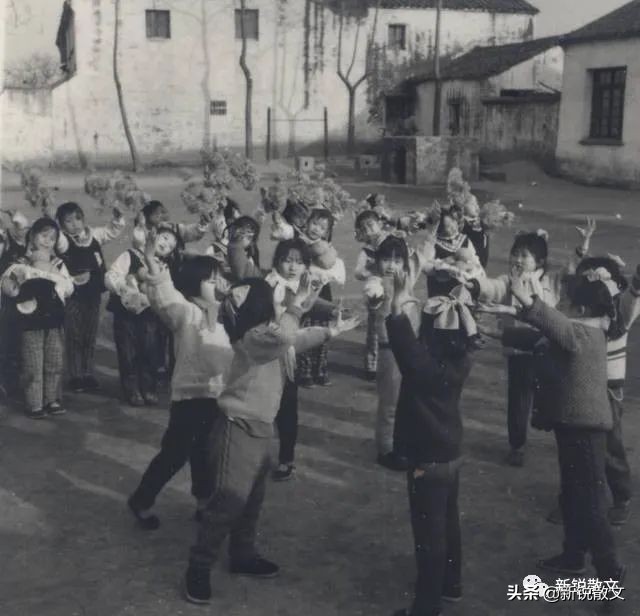 调皮捣蛋小学生的故事,关于小时候调皮捣蛋的事